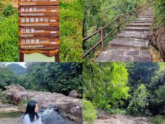 -广州白江湖森林公园