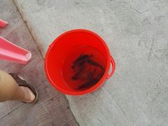 -聚合味(平洲店)