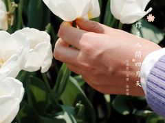 -厦门园林博览苑