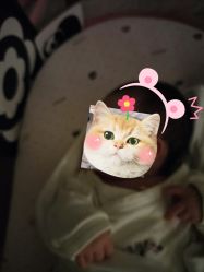 -宝生月子中心(民治店)