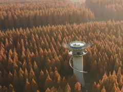 -黄海国家森林公园