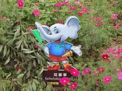 -保利石象湖景区