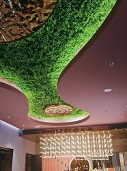 -花隐·美芙炫海菲秀皮肤管理中心