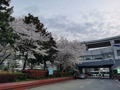 -上海南浦大桥长途旅游客运站