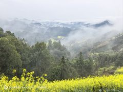 -石潭村