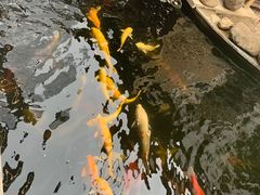 -湖鲜楼