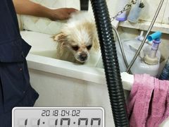 -惠宾花鸟宠物店