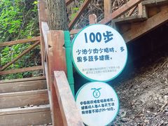 -大岭沟猕猴桃谷风景区