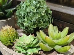 -永安鱼庄·镇江菜(丁卯店)