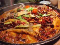 -老板恋上鱼(环山路店)