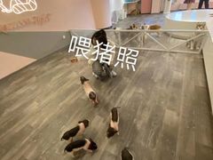 -浣熊柯尔鸭土拨鼠·电玩咖