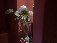 -泰融玺·泰式按摩SPA(包河万达店)