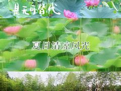 -沐仙湖湿地公园