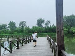 -溱湖国家湿地公园