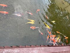 -望天湖
