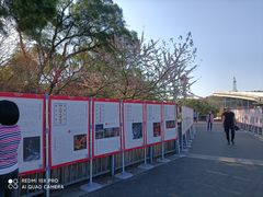 -金鸡山公园