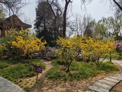 -宣武艺园