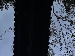 -浙西天池景区