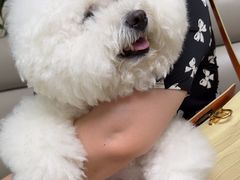 -美联众合动物医院·24h转诊中心