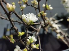 -荣祥广场