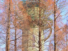 -黄海国家森林公园