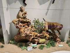 -国家自然博物馆