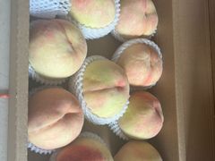 -老袁家蜜桃农场·阳山水蜜桃