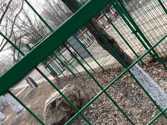 -长白岛森林公园