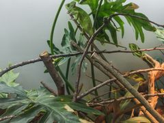 -上海大自然野生昆虫馆(东方明珠·爬宠昆虫探索中心)