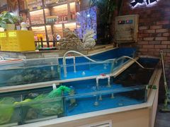 -老姑砂锅·烧烤天津菜(体北道店)