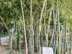 -兰亭风景区