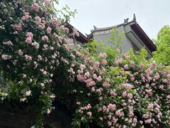 -天发芽·何记葫芦头泡馍·传统小吃(报恩寺街店)