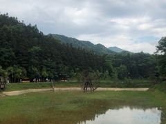 -酒仙湖景区