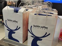 -瑞幸咖啡(中关村科贸电子城店)