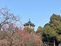 -无锡梅园公园