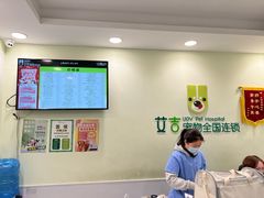 -艾吉宠物医院·疑难杂症转诊中心·猫友好(碧江路院)