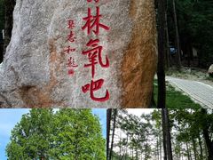 -洛阳白云山景区