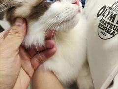 -BD健身私教工作室(CBD店)