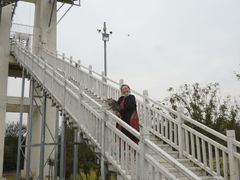 -武汉紫薇都市田园