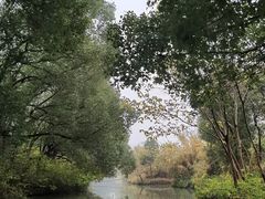 -沙家浜风景区