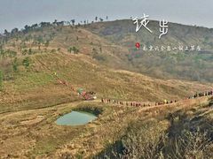 -恋山坝上草原