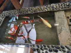 -丽江庭院之爱在路上(西单店)