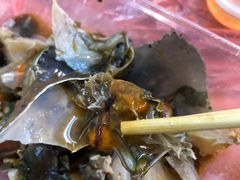 -圆蛋酒料•生腌(开元路店)
