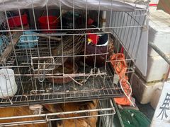 -永汉农贸综合市场