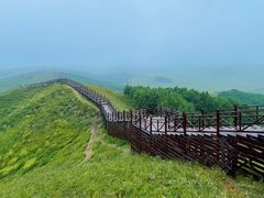 -乌兰布统草原