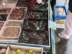 -上海龙吴水胜海发市场