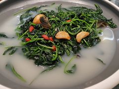 上汤浸辣椒叶-德云居