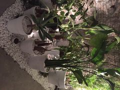 iphone_upload_pic-Gentle Monster(Galleria百货狎鸥亭店)