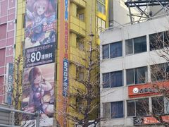 -秋叶原电器街