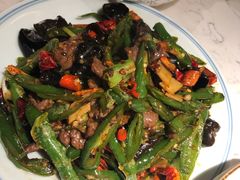 -大榕树下顺德菜(融创茂店)